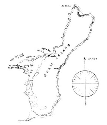 pic2.jpg