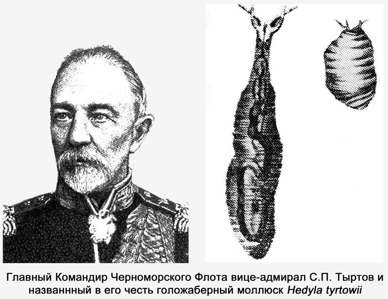 17_Tyrtov.jpg