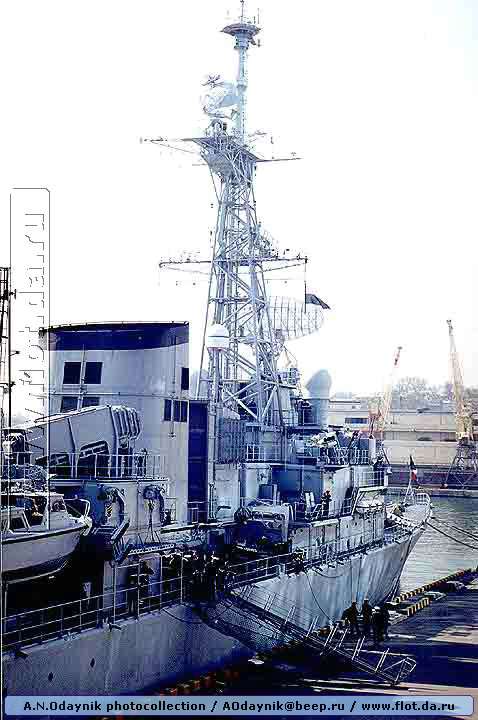 7065.jpg