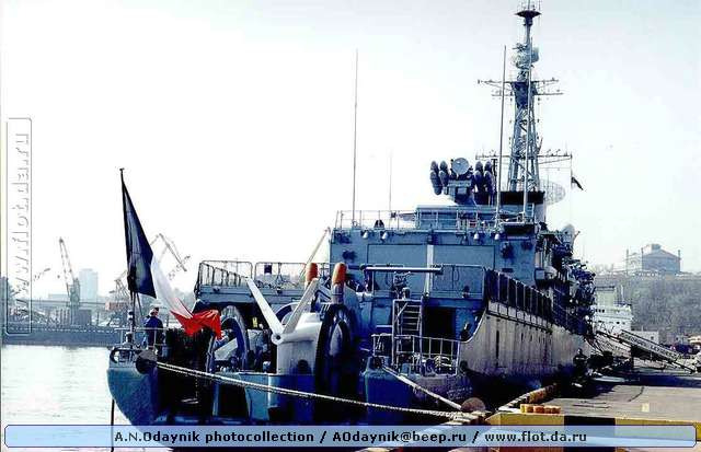 7066.jpg