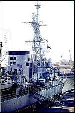 7065.jpg
