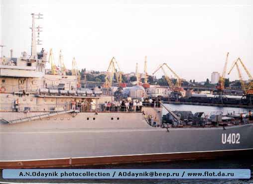 06.jpg