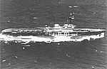 Eagle_26.jpg