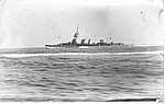Curlew_1.jpg