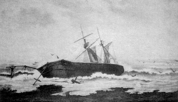 novik_4.jpg