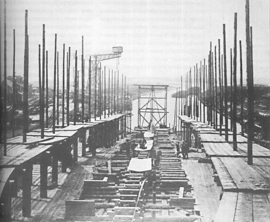 ESM_Novik_005.jpg (147 KB)