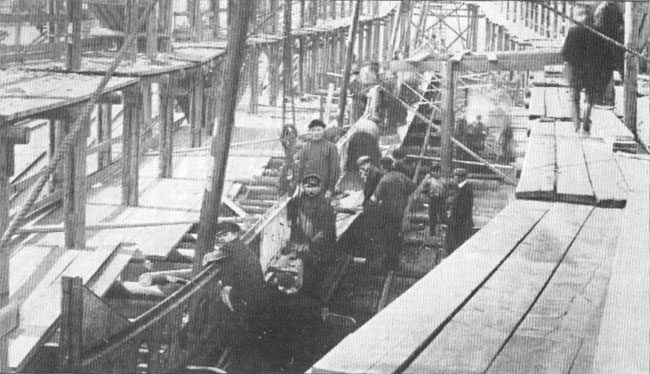 ESM_Novik_006.jpg (63 KB)