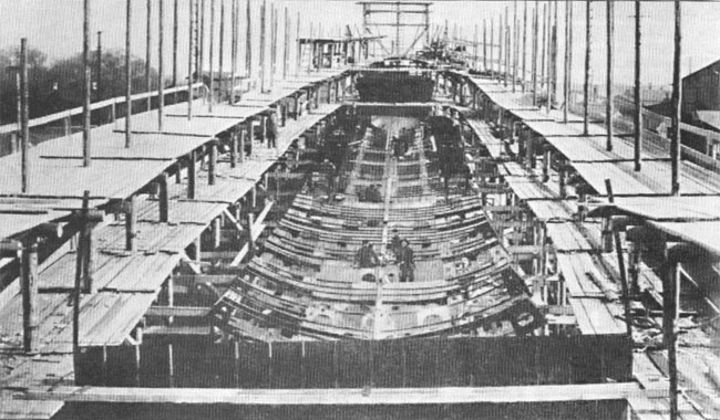 ESM_Novik_007.jpg (72 KB)