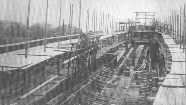 ESM_Novik_008.jpg (55 KB)