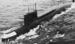 PLARB_Proect_667A_02.jpg