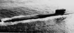 PLARB_Proect_667A_10.jpg