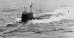 PLARB_Proect_667A_11.jpg