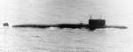 PLARB_Proect_667A_13.jpg